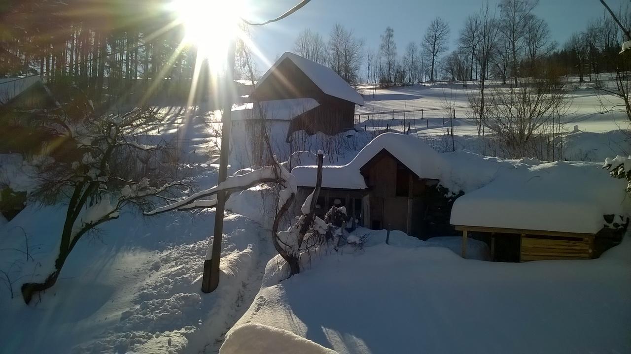 Penzion Filoun Plavy Exterior foto